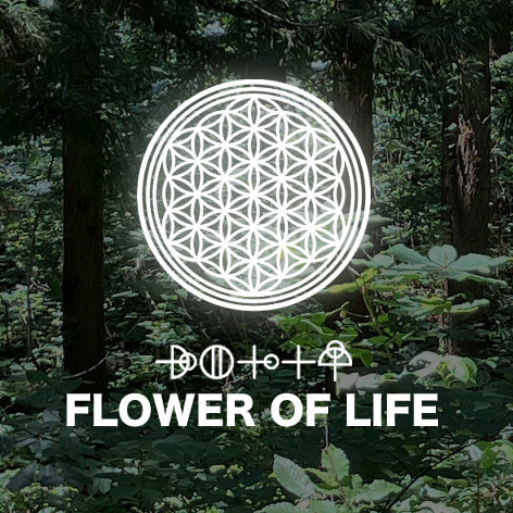 フラワーオブライフ