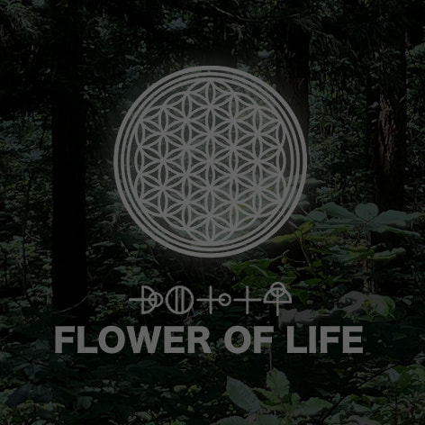 フラワーオブライフ